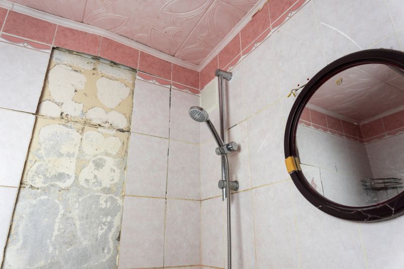 Top Shower Remodeling Companies in Barrington, IL