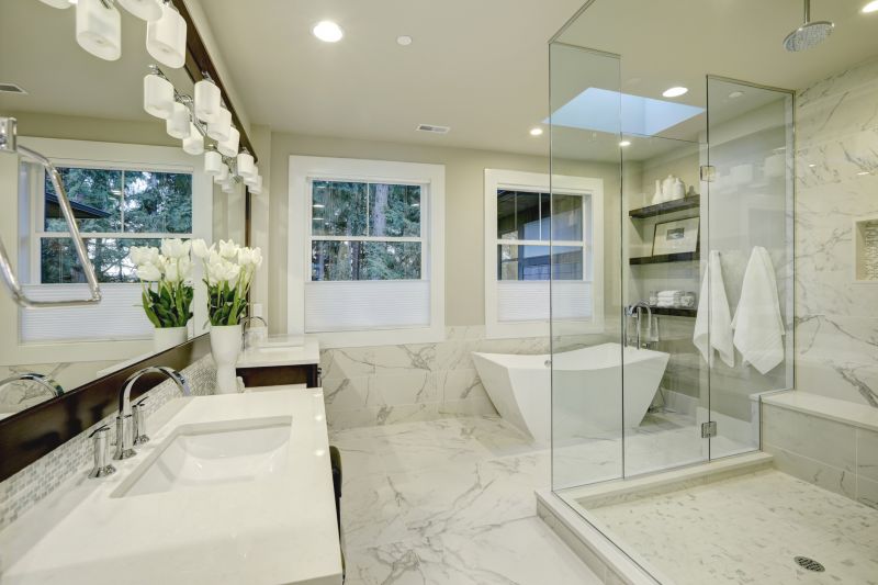 Top Shower Remodeling Companies in Elmhurst, IL