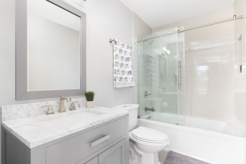 Top Tub To Shower Conversion Companies in Glenview, IL