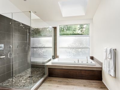 Top Tub To Shower Conversion Companies in Lake Zurich, IL